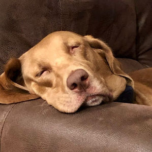 Meet your Posher, Rae